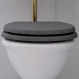 Product lifestyle image of burlington guild ashbee grey soft close toilet seat with gold flush pipe - GU6105AG